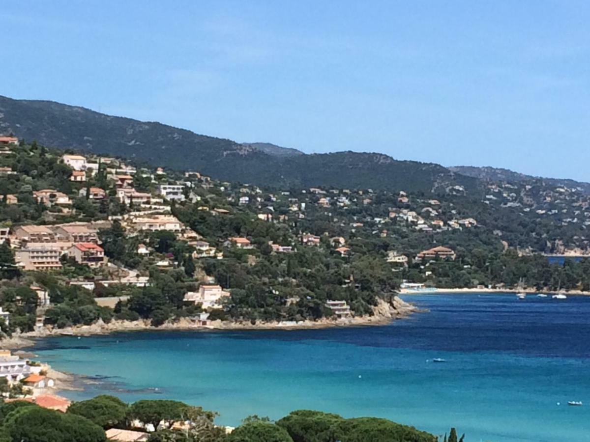 Appartement Altair Le Lavandou Esterno foto
