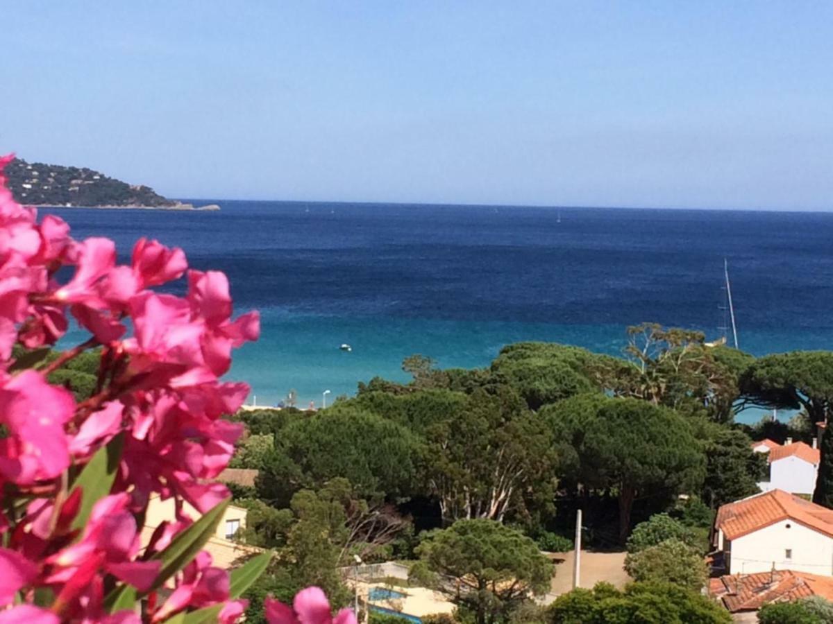 Appartement Altair Le Lavandou Esterno foto