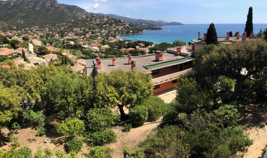 Appartement Altair Le Lavandou Esterno foto